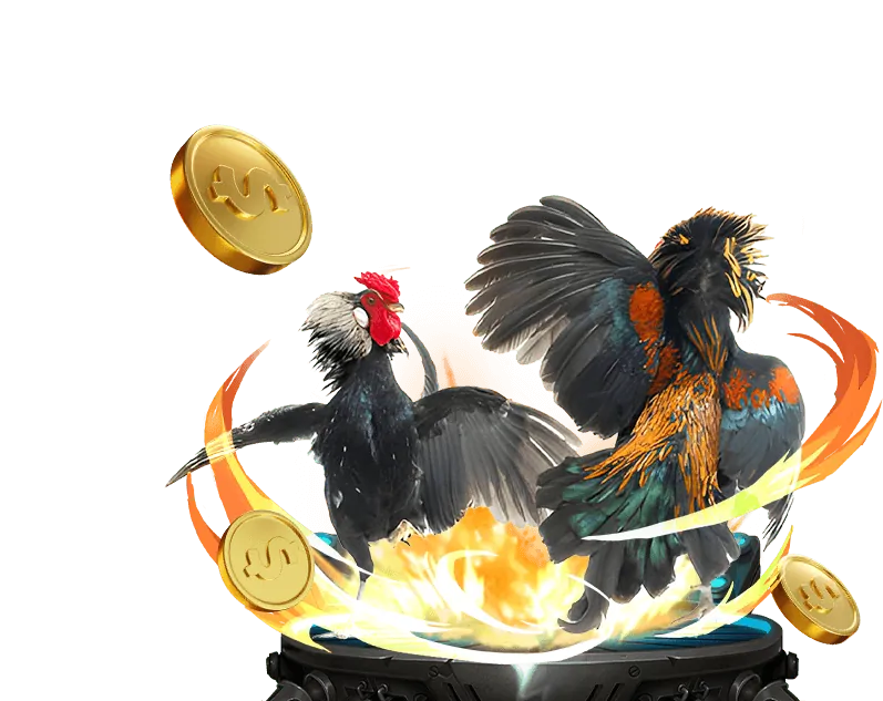 Hình ảnh minh họa khu vực Câu hỏi thường gặp của 77bet casino